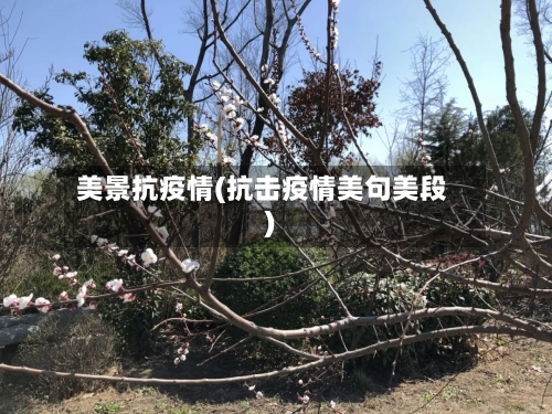 美景抗疫情(抗击疫情美句美段)-第3张图片