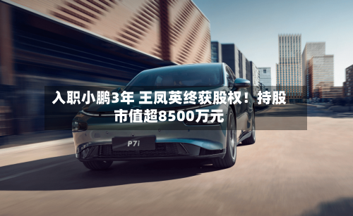 入职小鹏3年 王凤英终获股权！持股市值超8500万元