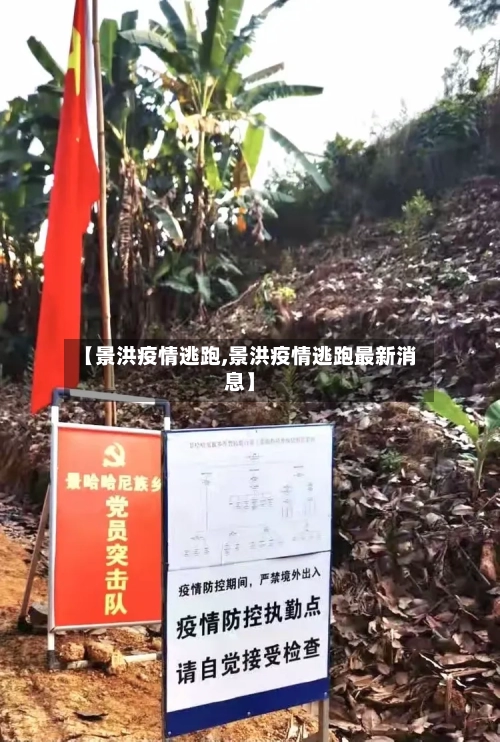 【景洪疫情逃跑,景洪疫情逃跑最新消息】-第2张图片