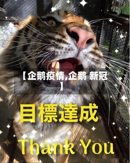 【企鹅疫情,企鹅 新冠】-第2张图片