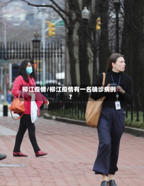 柳江疫情/柳江疫情有一名确诊病例?-第2张图片