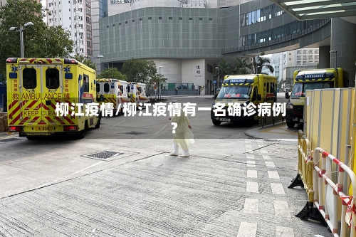 柳江疫情/柳江疫情有一名确诊病例?