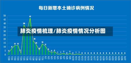 肺炎疫情梳理/肺炎疫情情况分析图