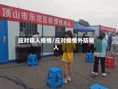 应对输入疫情/应对疫情外防输入