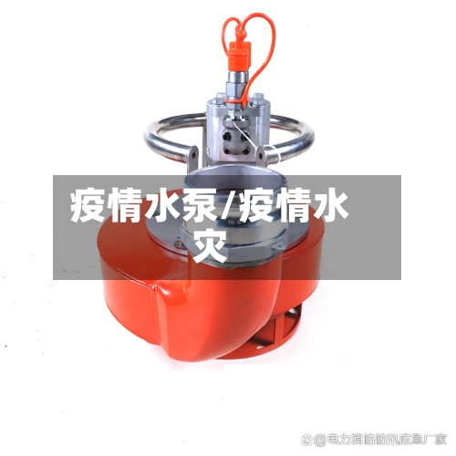 疫情水泵/疫情水灾-第2张图片