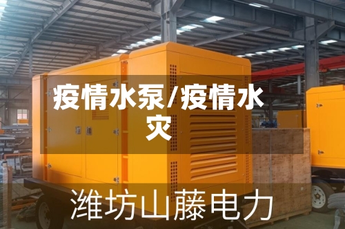 疫情水泵/疫情水灾-第3张图片