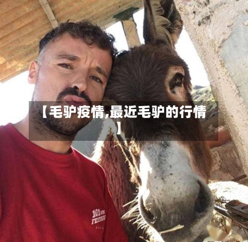 【毛驴疫情,最近毛驴的行情】