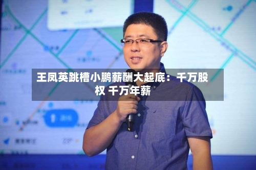 王凤英跳槽小鹏薪酬大起底:千万股权 千万年薪-第2张图片