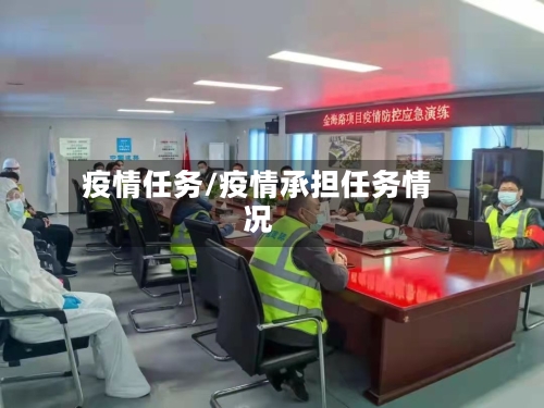 疫情任务/疫情承担任务情况