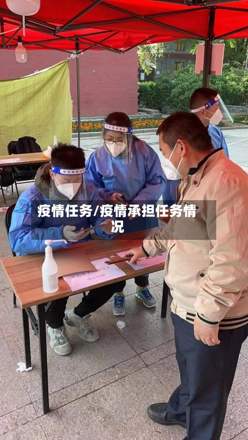 疫情任务/疫情承担任务情况-第3张图片