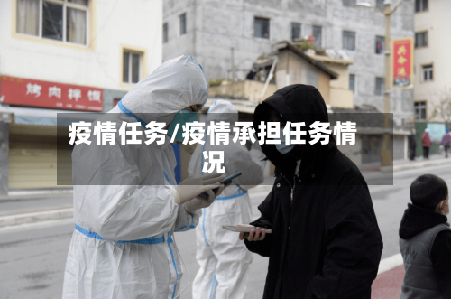 疫情任务/疫情承担任务情况-第2张图片