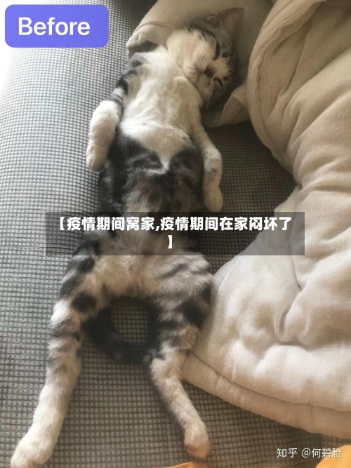 【疫情期间窝家,疫情期间在家闷坏了】