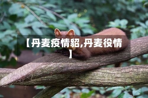 【丹麦疫情貂,丹麦役情】-第3张图片