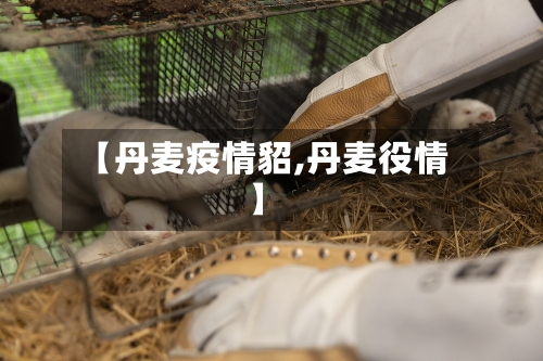 【丹麦疫情貂,丹麦役情】