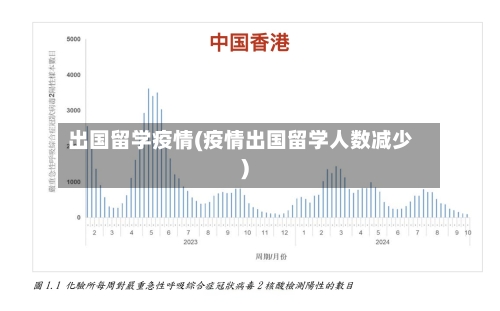出国留学疫情(疫情出国留学人数减少)-第2张图片