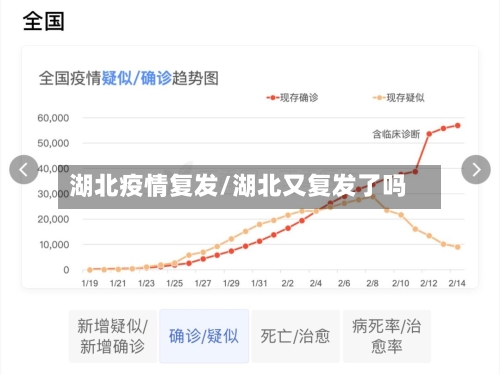 湖北疫情复发/湖北又复发了吗