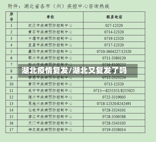 湖北疫情复发/湖北又复发了吗-第2张图片