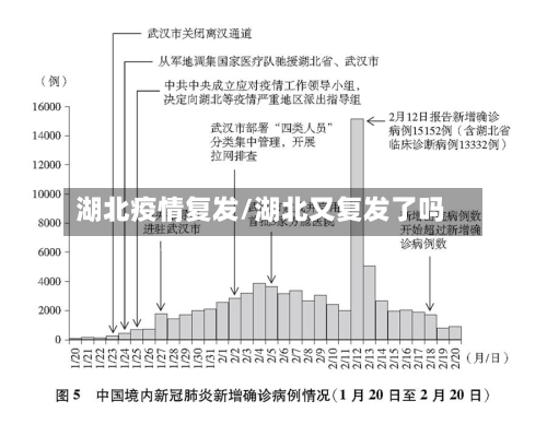 湖北疫情复发/湖北又复发了吗-第3张图片