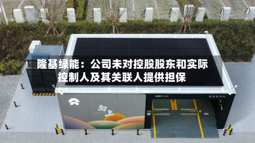 隆基绿能:公司未对控股股东和实际控制人及其关联人提供担保-第2张图片