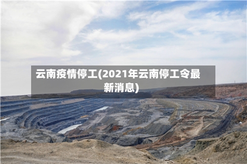 云南疫情停工(2021年云南停工令最新消息)-第2张图片