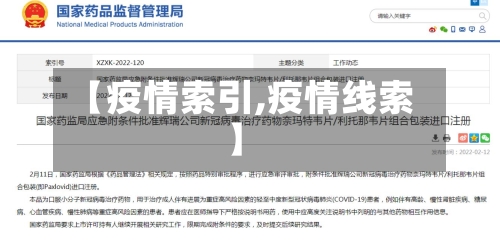【疫情索引,疫情线索】-第2张图片