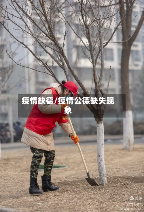 疫情缺德/疫情公德缺失现象
