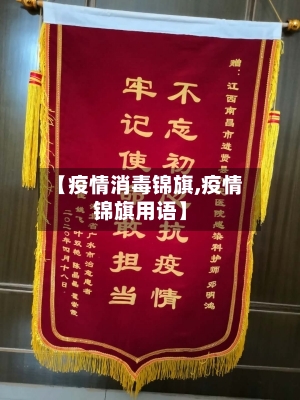 【疫情消毒锦旗,疫情锦旗用语】-第2张图片