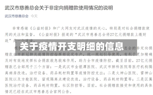 关于疫情开支明细的信息-第2张图片
