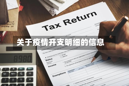 关于疫情开支明细的信息-第3张图片