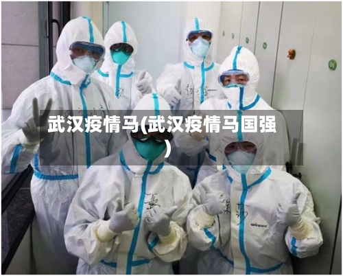 武汉疫情马(武汉疫情马国强)