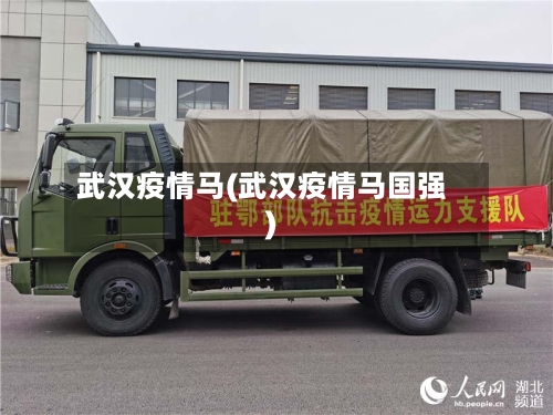 武汉疫情马(武汉疫情马国强)-第2张图片