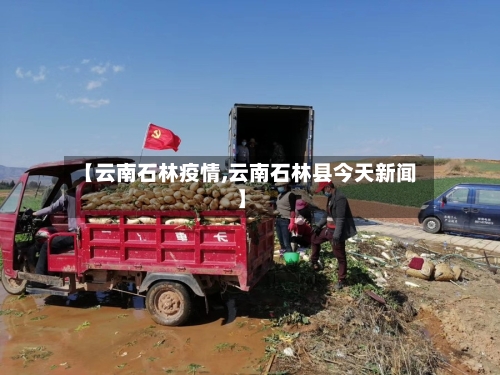 【云南石林疫情,云南石林县今天新闻】-第2张图片