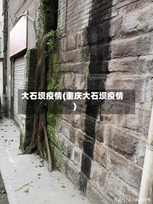 大石坝疫情(重庆大石坝疫情)-第2张图片