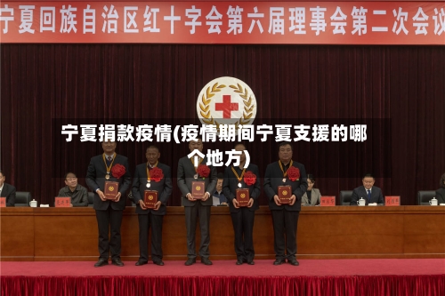 宁夏捐款疫情(疫情期间宁夏支援的哪个地方)-第2张图片
