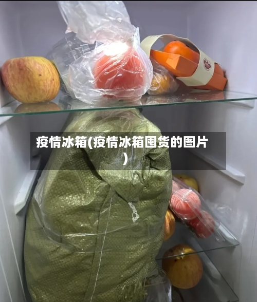 疫情冰箱(疫情冰箱囤货的图片)