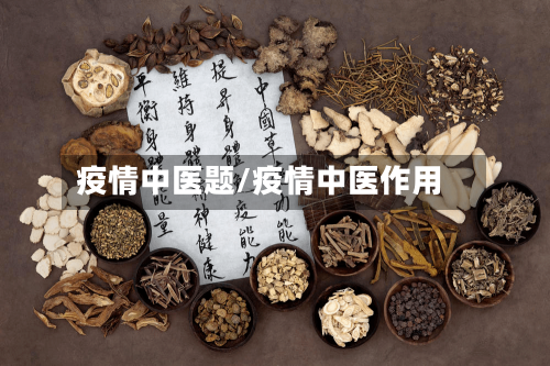 疫情中医题/疫情中医作用