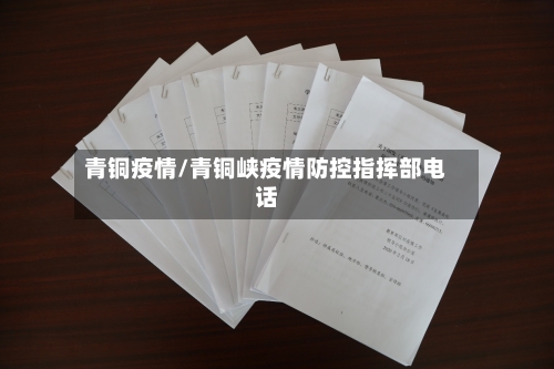 青铜疫情/青铜峡疫情防控指挥部电话-第3张图片