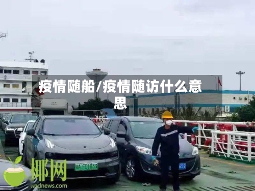 疫情随船/疫情随访什么意思