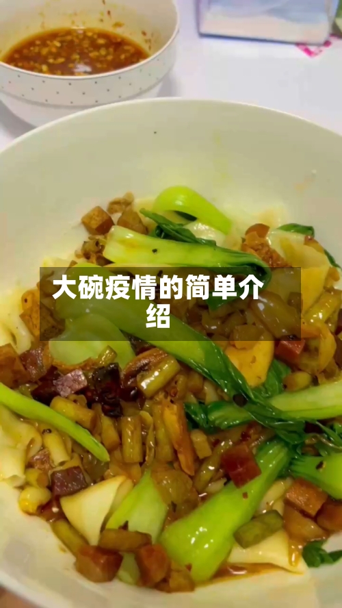 大碗疫情的简单介绍-第2张图片