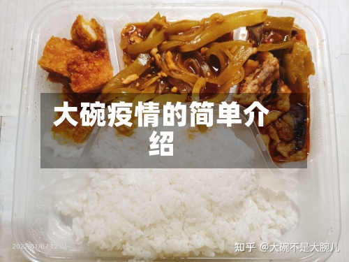 大碗疫情的简单介绍