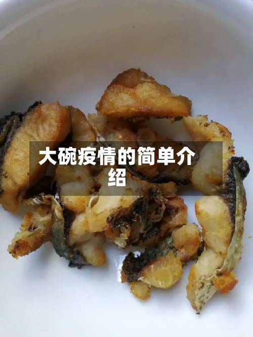 大碗疫情的简单介绍-第3张图片