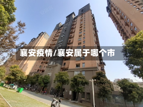 襄安疫情/襄安属于哪个市