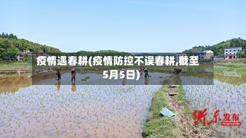 疫情遇春耕(疫情防控不误春耕,截至5月5日)