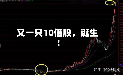 又一只10倍股，诞生！