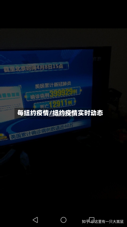 每纽约疫情/纽约疫情实时动态-第2张图片