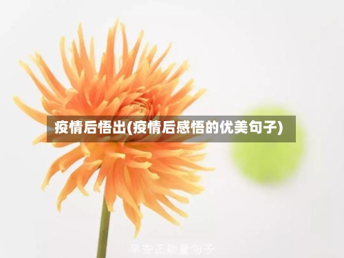疫情后悟出(疫情后感悟的优美句子)