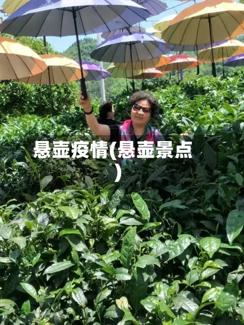 悬壶疫情(悬壶景点)