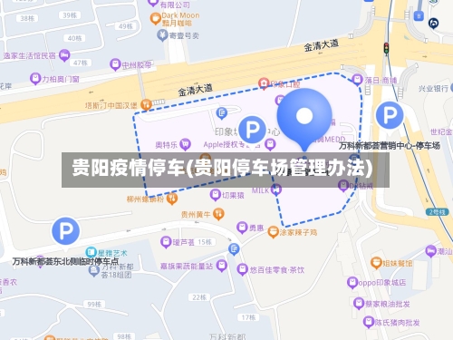 贵阳疫情停车(贵阳停车场管理办法)