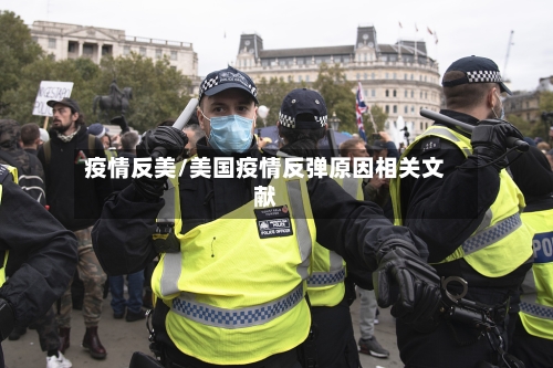 疫情反美/美国疫情反弹原因相关文献