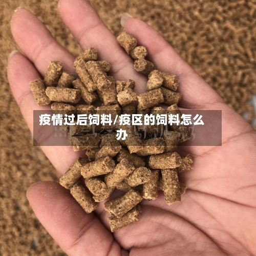 疫情过后饲料/疫区的饲料怎么办